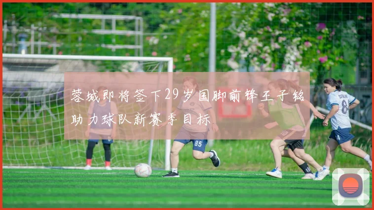 蓉城即将签下29岁国脚前锋王子铭助力球队新赛季目标