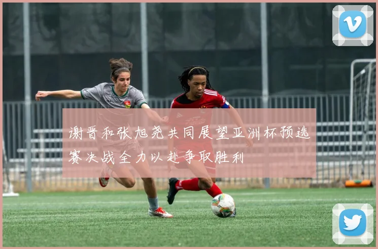 谢晋和张旭尧共同展望亚洲杯预选赛决战全力以赴争取胜利